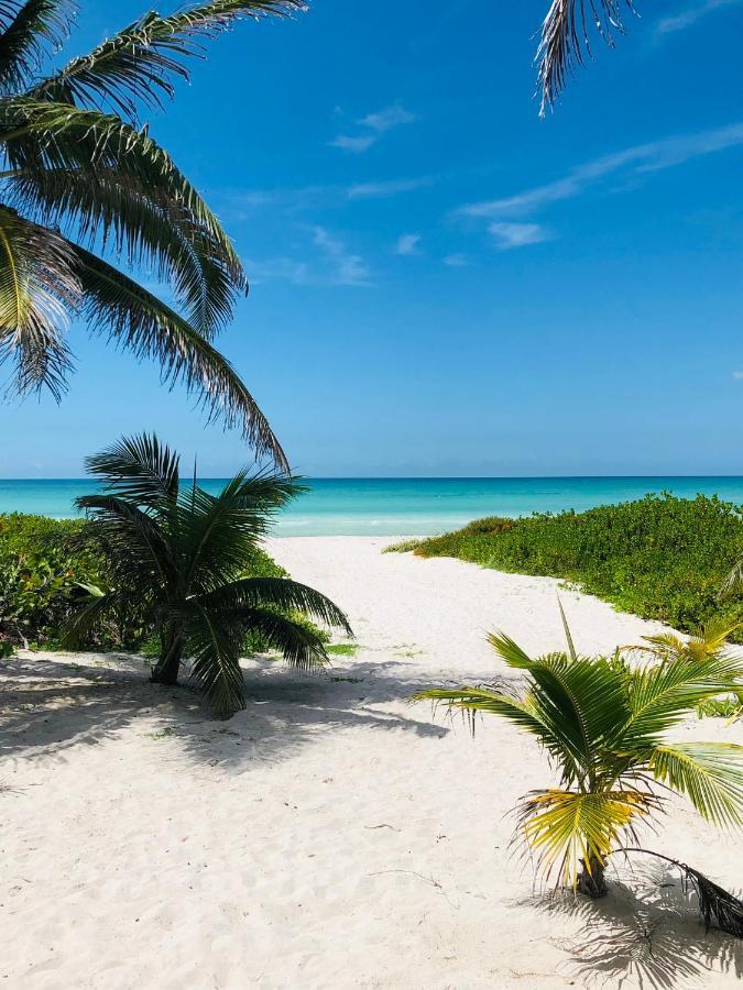شقة إل كويو  في Cabana Tortuga A Unos Pasos De La Playa المظهر الخارجي الصورة